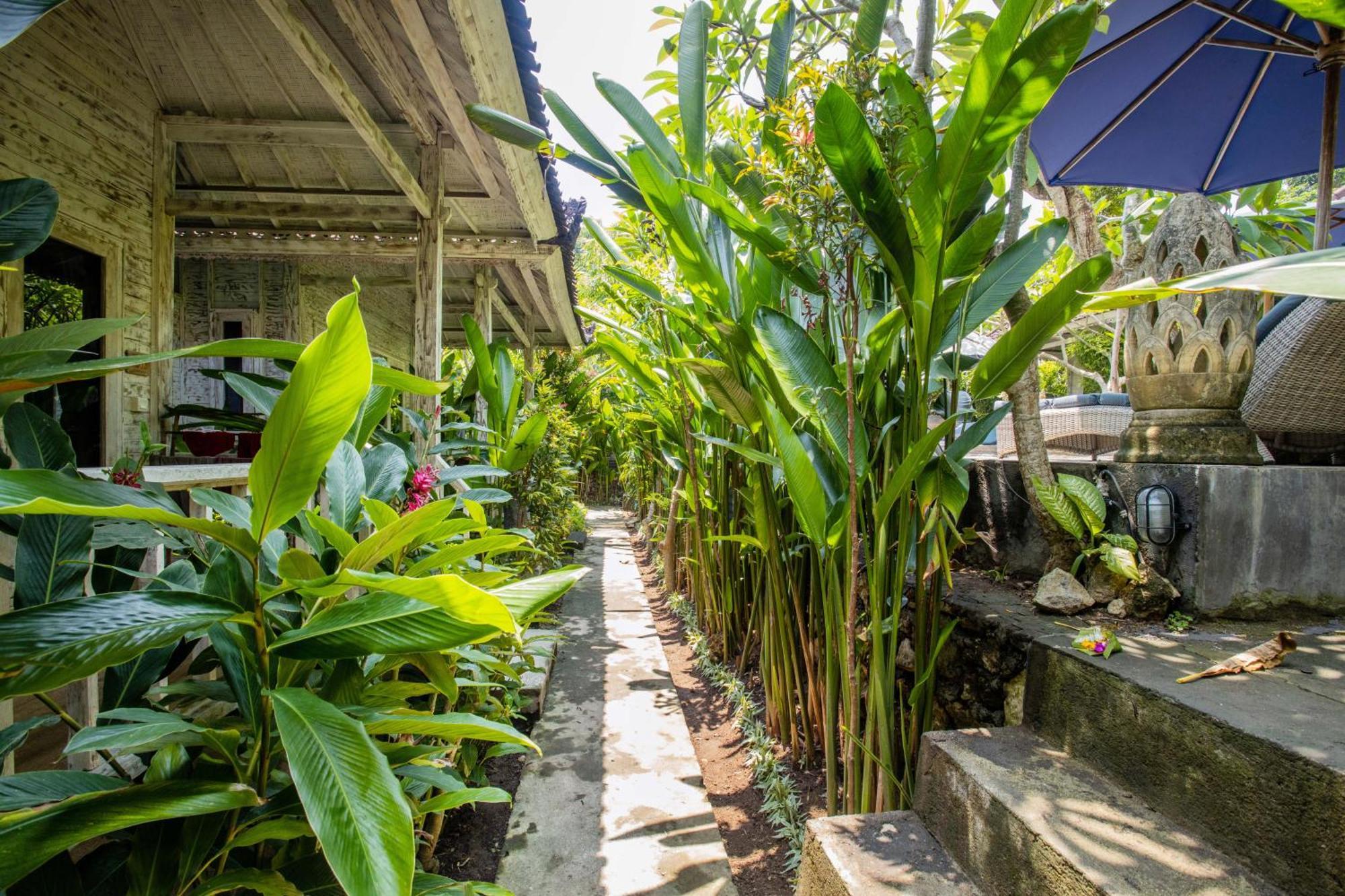 221 Garden Cottages Lembongan Exterior foto